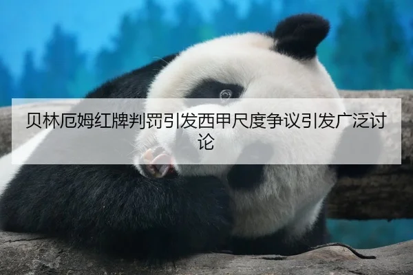 贝林厄姆红牌判罚引发西甲尺度争议引发广泛讨论