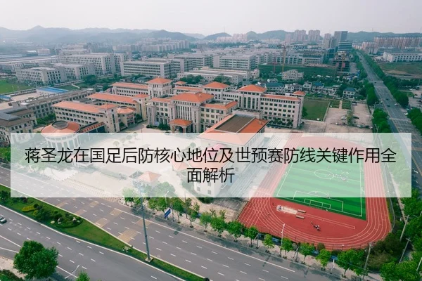 蒋圣龙在国足后防核心地位及世预赛防线关键作用全面解析