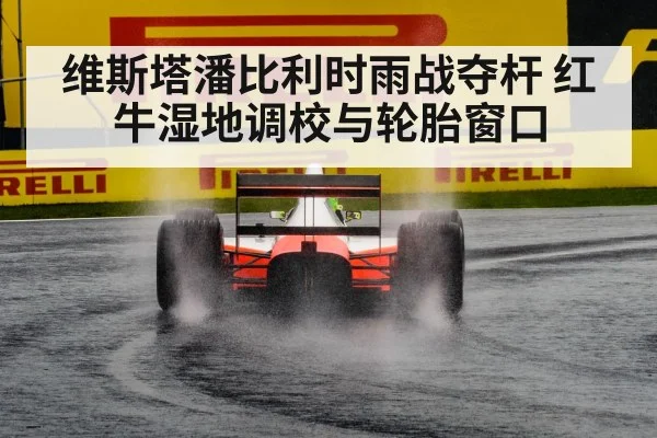Formula 1 rain race