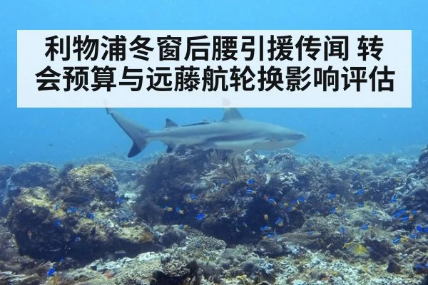 利物浦冬窗后腰引援传闻 转会预算与远藤航轮换影响评估